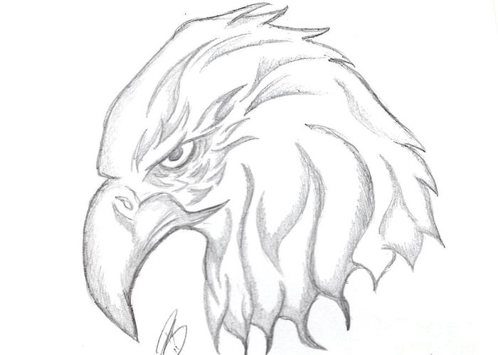 700x500 Eagle Head Drawing Greeting Card For Sale By Minding My Visions By - Eagle Head Sketch
