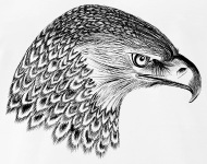 190x150 Sketch Eagles Head By Sergej Bodak Spreadshirt - Eagle Head Sketch