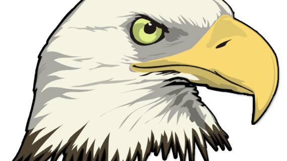 570x320 Bald Eagle Head Drawing Hand Drawn Bald Eagle Head Sketch Stock - Eagle Head Sketch