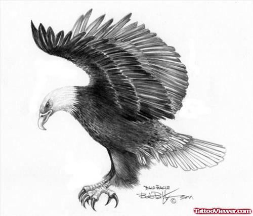 Eagle Flying Sketch at PaintingValley.com | Explore collection of Eagle ...