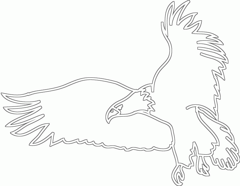 800x622 Eagle Flying Pencil Sketch Tawny Eagle Clipart Flight Drawing - Eagle In Flight Sketch