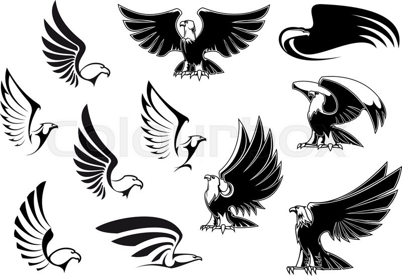 800x549 Eagle Silhouettes Showing Flying And Standing Birds With - Eagle In Flight Sketch