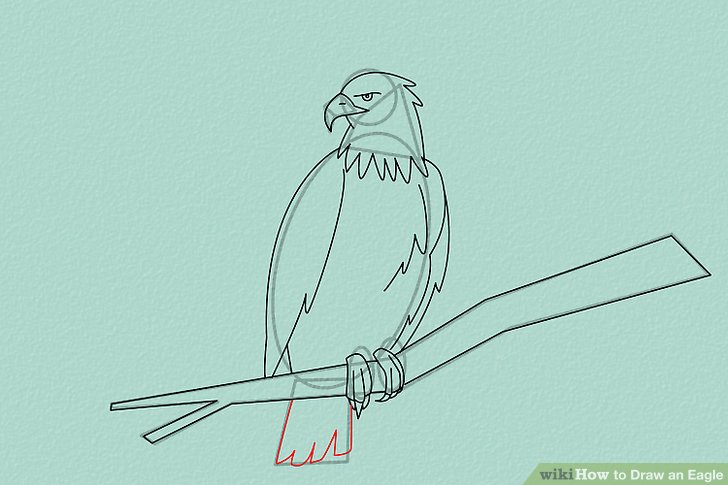 728x485 4 Ways To Draw An Eagle - Eagle In Flight Sketch