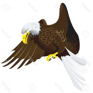 300x300 Photostock Vector Birds Silhouettes Flying Sitting Vector Tattoo - Eagle In Flight Sketch