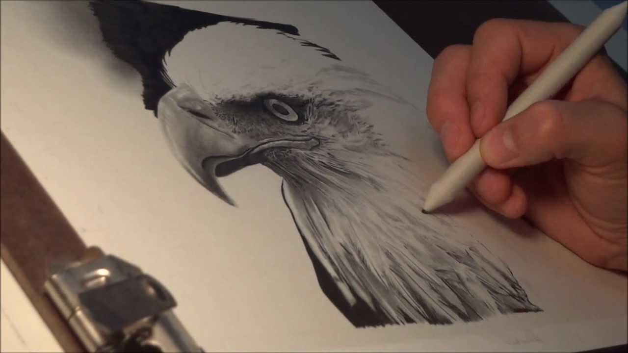 1280x720 Speed Drawing - Eagle In Flight Sketch