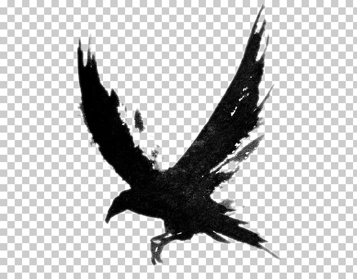 728x568 Common Raven Tattoo Bird Drawing , Flying Crow , Bald Eagle Png - Eagle In Flight Sketch