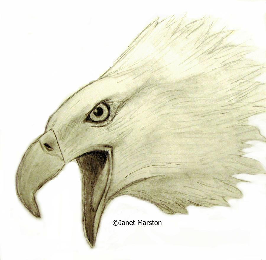 900x880 Eagle Head Drawings In Pencil Eagle Pencil Drawing Drawing By - Eagle Pencil Sketch