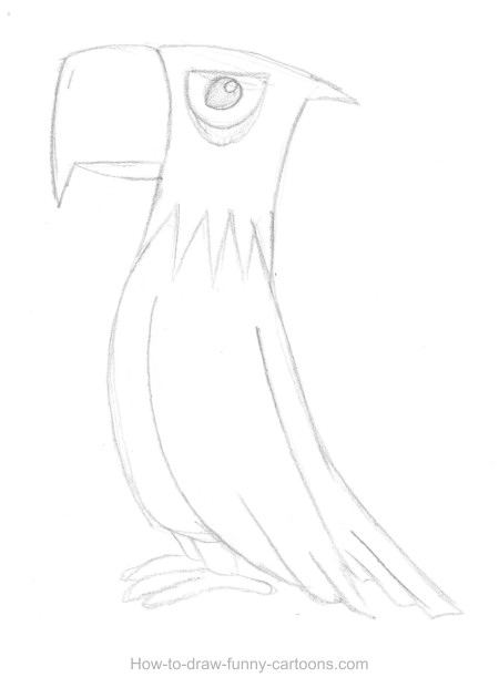 450x630 Eagle Drawing (Sketching + Vector) - Eagle Sketch Drawing