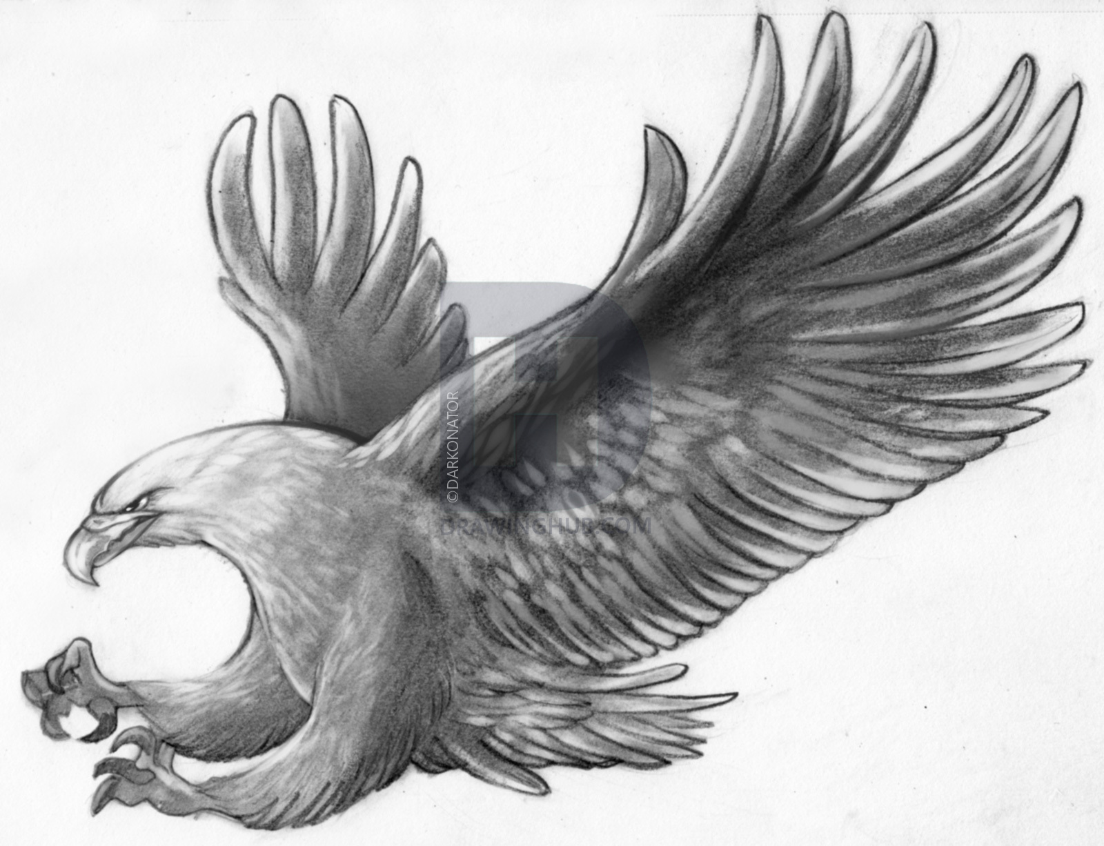 1600x1226 How To Sketch An Eagle In Pencil, Draw An Eagle Bird, Step By Step - Eagle Sketch Drawing