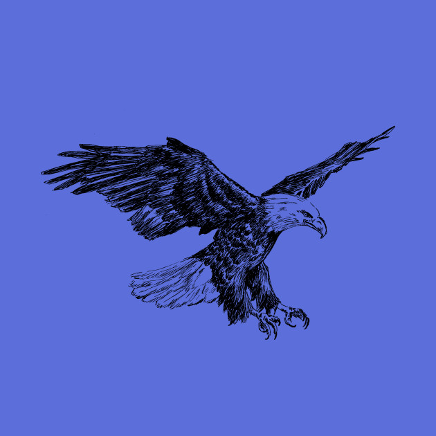 630x630 Bald Eagle Sketch - Eagle Sketch Images
