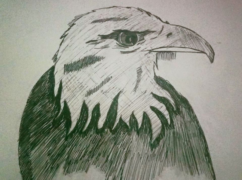 960x716 Buy Eagle Sketch Handmade Painting By Munira Doriwala. Code - Eagle Sketch Images