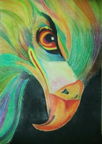 355x500 Eagle Sketch - Eagle Sketch Images