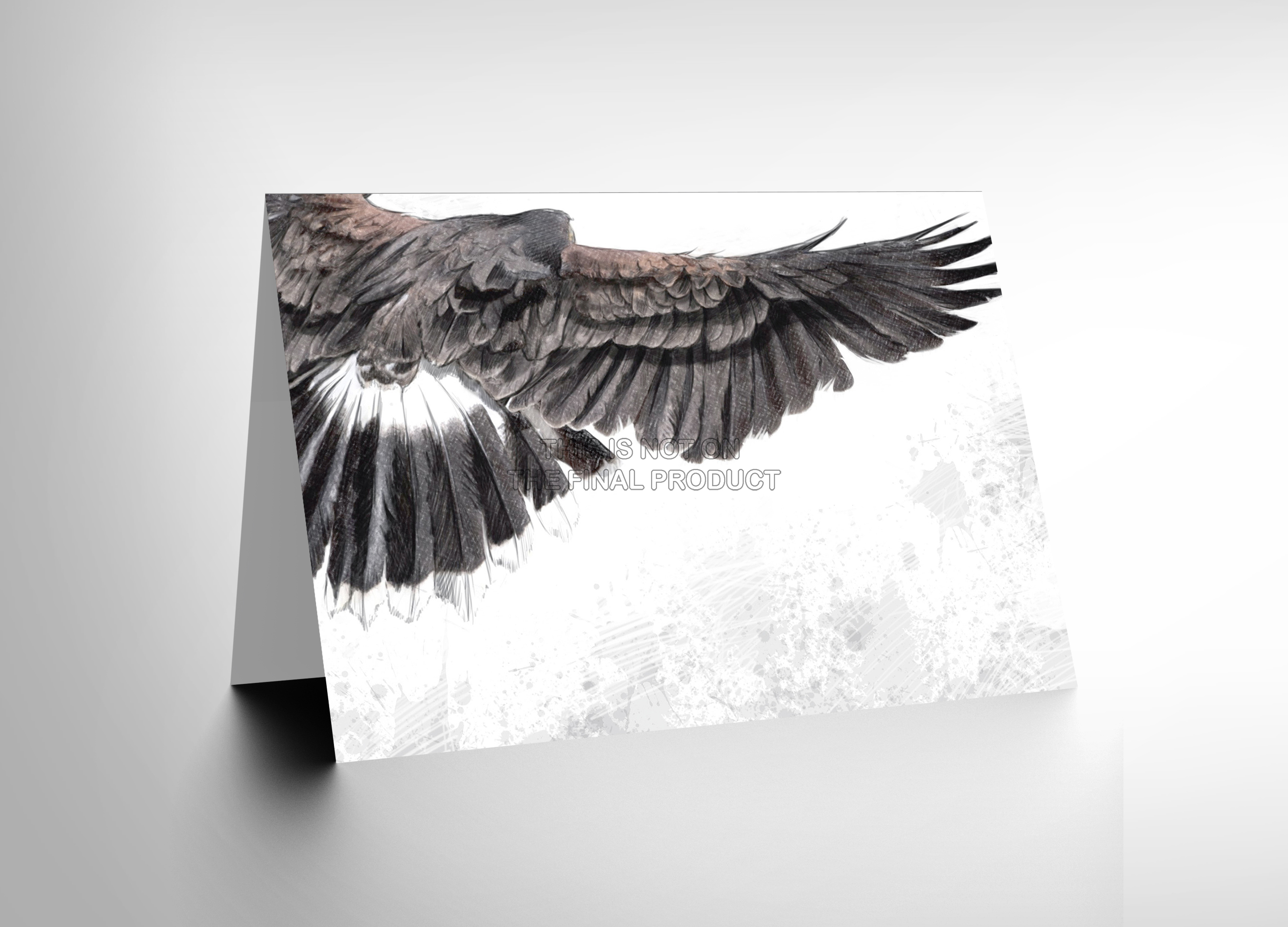 2661x1914 Flying Eagle Sketch Blank Greetings Birthday Card Art Cl316 Ebay - Eagle Sketch Images