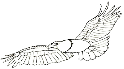400x223 How To Draw An Eagle - Eagle Sketch Images