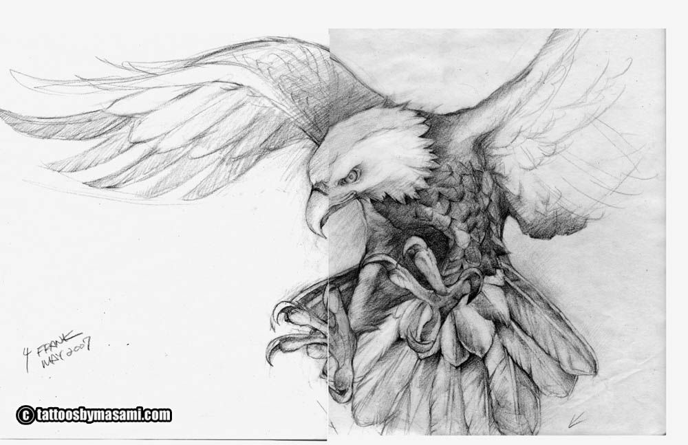 Eagle Sketch Tattoo at Explore collection of Eagle