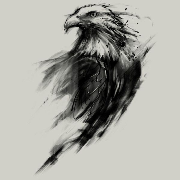 600x600 Eagle Podborka 5.06 - Eagle Sketch Tattoo