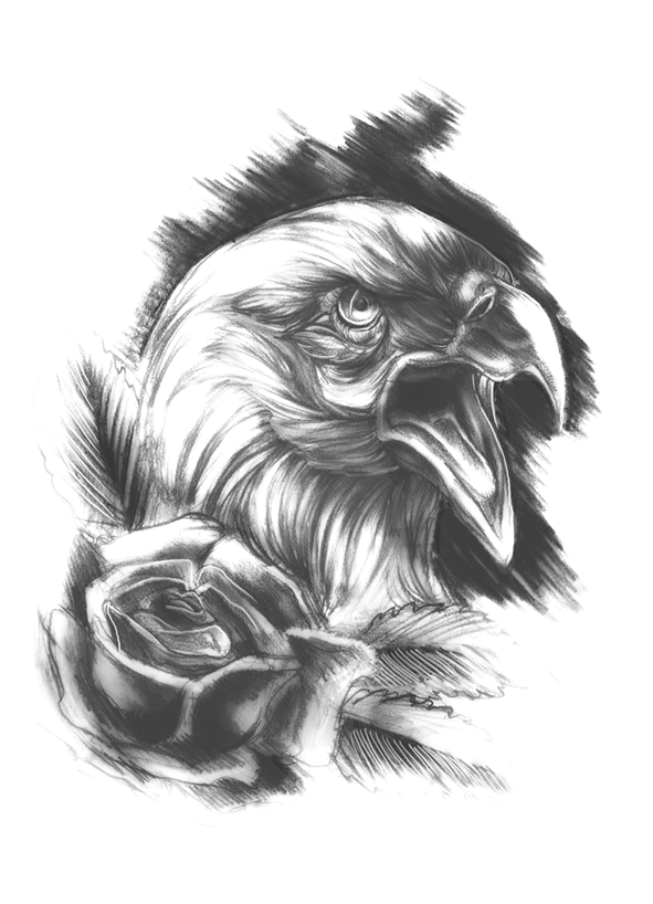 591x818 Sketched Eagle Tattoo By Nevergonnatakeme - Eagle Sketch Tattoo
