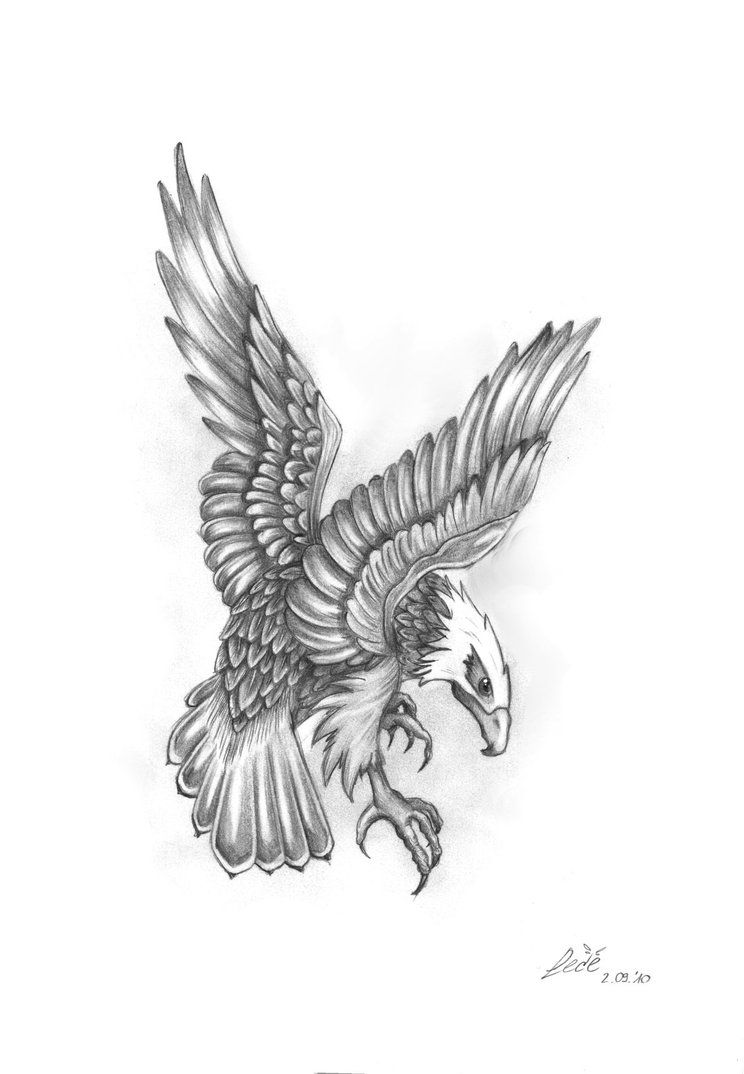 744x1074 Eagle Tattoo Images Amp Designs Birds Tattoos, Eagle - Eagle Tattoo Sketch