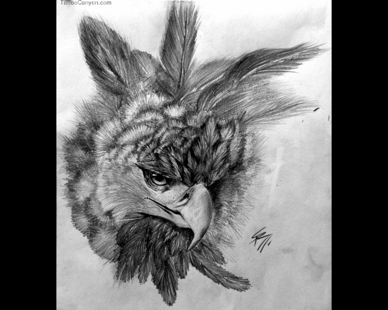 1280x1024 Mexican Eagle Tattoo Sketch Tattoo Ideas - Eagle Tattoo Sketch