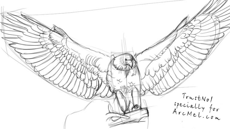768x432 Drawn Eagle Eagle Wing Free Collection Download And Share Drawn - Eagle Wings Sketch