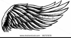236x128 Eagle Wings Drawings Wings Hand Drawn Vector Illustration - Eagle Wings Sketch