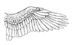 236x147 Moi Zakladki Aaarkhangely, Demony, Angely I T P - Eagle Wings Sketch