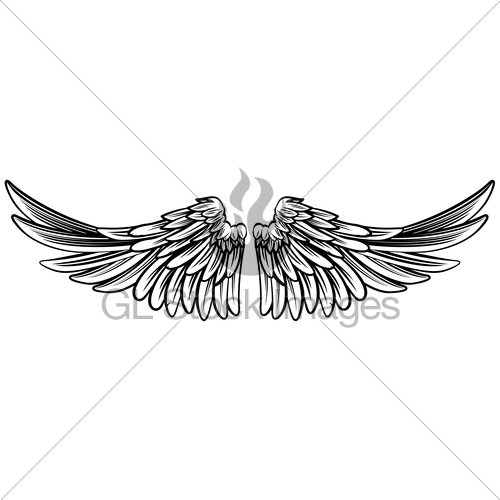 500x500 Spread Pair Of Angel Or Eagle Wings Gl Stock Images - Eagle Wings Sketch