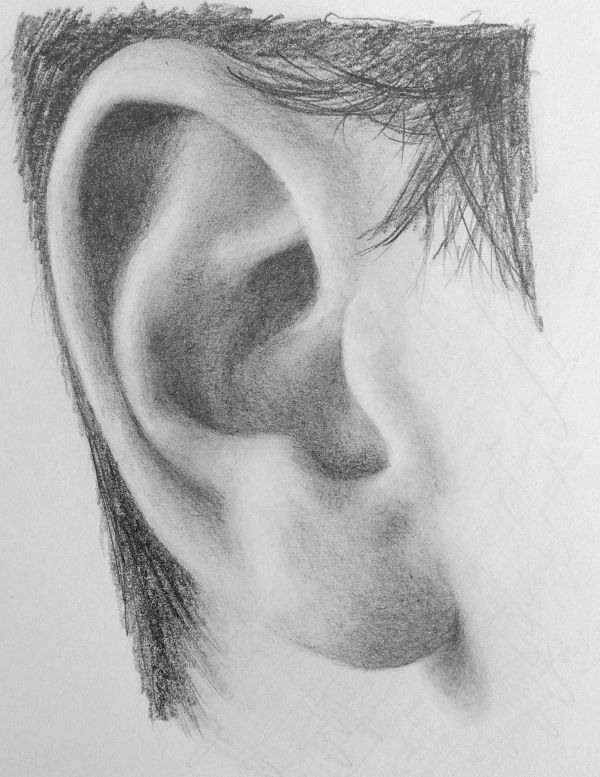 600x777 How To Draw Ears Portraits Drawings, Art And - Ear Sketch