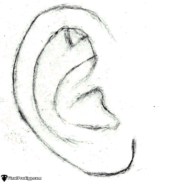 Ear Sketch at PaintingValley.com | Explore collection of Ear Sketch