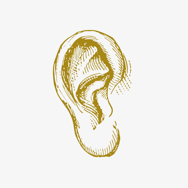 650x651 Sketch The Ears, Sketch Vector, Ear, Sketch Png And Vector For - Ear Sketch