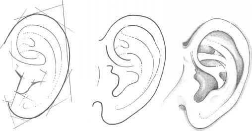 508x264 The Eyes - Ear Sketch