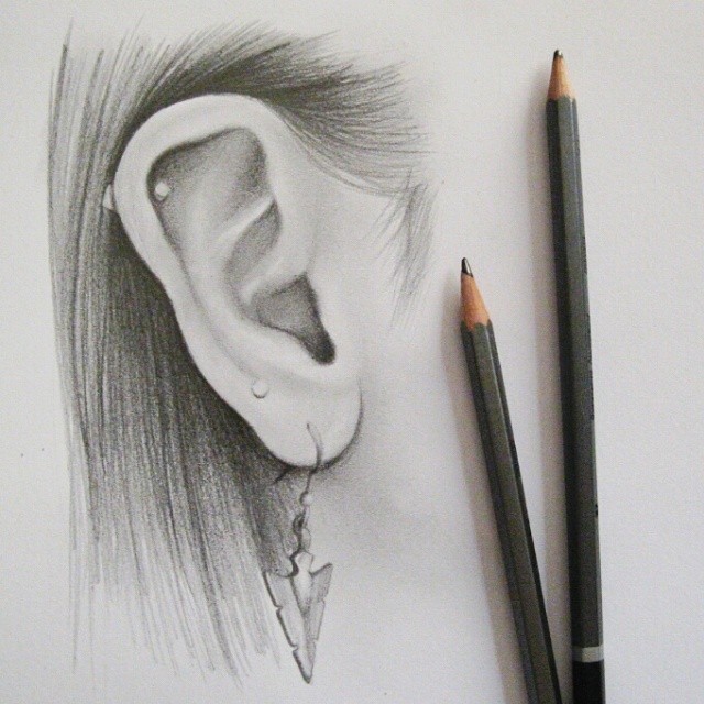 pencil sketch of human ear