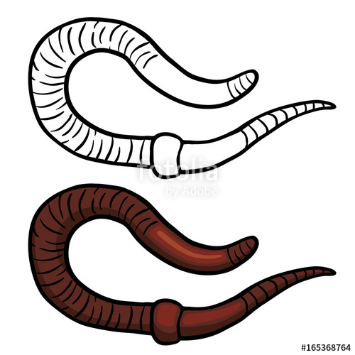 500x500 Earthworm Sketch Stock Photo And Royalty Free Images On Fotolia - Earthworm Sketch