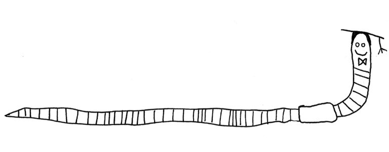 768x300 New Map Challenge For All Around With Professor Earthworm Map - Earthworm Sketch