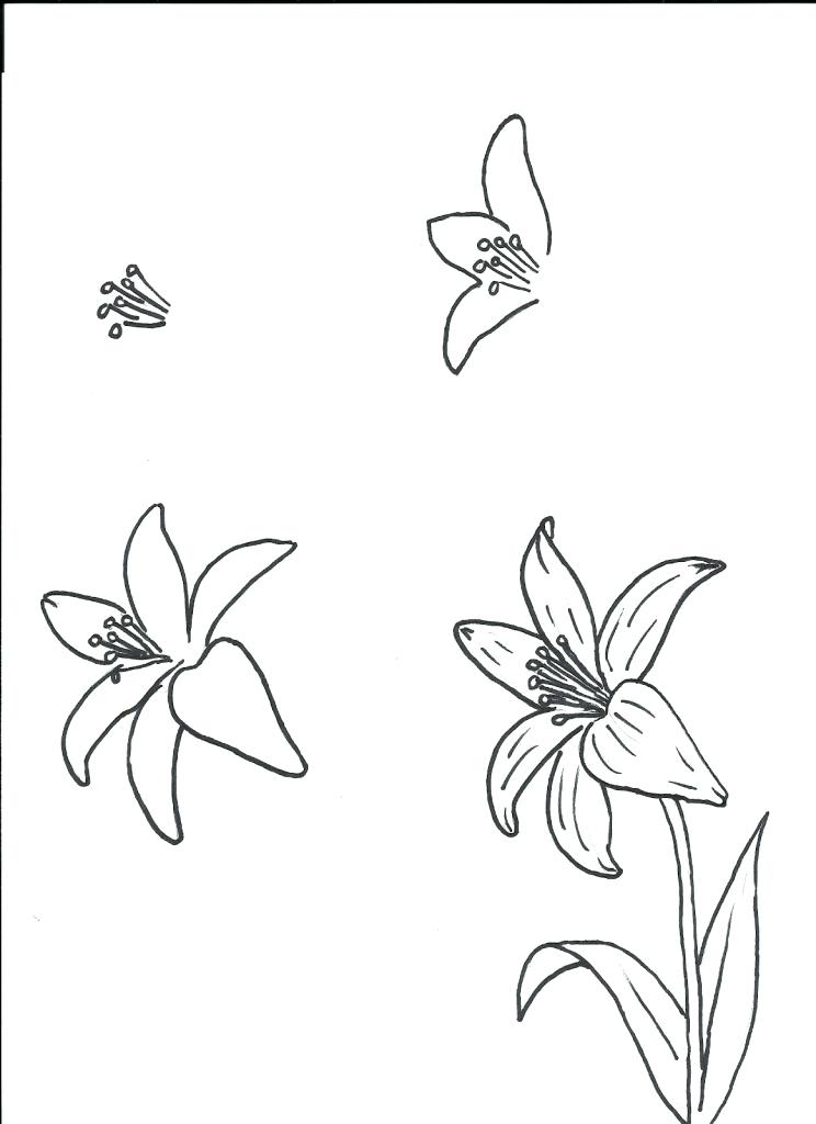 744x1024 Easy Flowers To Draw Step By Step Flower Sketches Step By Step - Easiest Sketches