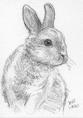 Easter Bunny Sketch at PaintingValley.com | Explore collection of ...