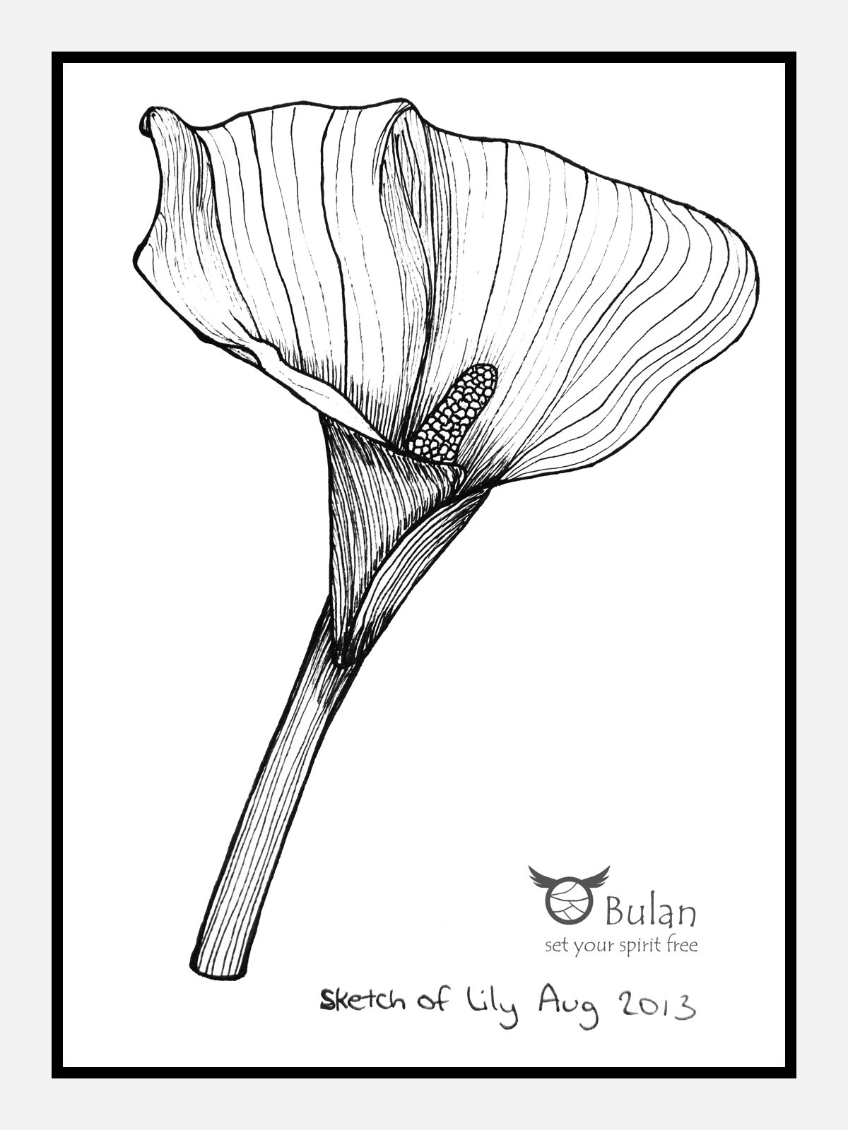 1200x1600 Sketch Of The Day No 127 Easter Lily In - Easter Lily Sketch
