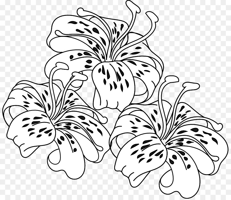 900x780 Tiger Lily Easter Lily Coloring Book Flower - Easter Lily Sketch