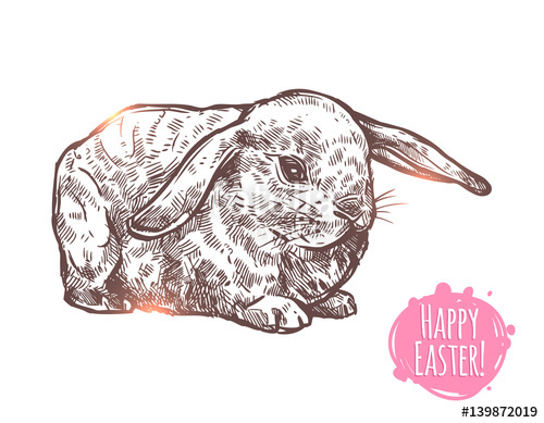 500x389 Hand Drawn Happy Easter Rabbit. Sketch Monochrome Greeting - Easter Rabbit Sketch