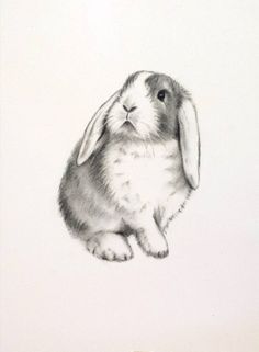 236x321 850 Best Easter Bunny Eggs And Ducklings Images In - Easter Rabbit Sketch