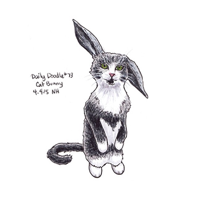 640x640 No.73 A Cat Bunny - Easter Rabbit Sketch