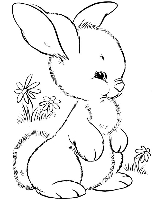 670x820 And Print Preschool Cute Easter Bunny Coloring Pages - Easter Rabbit Sketch