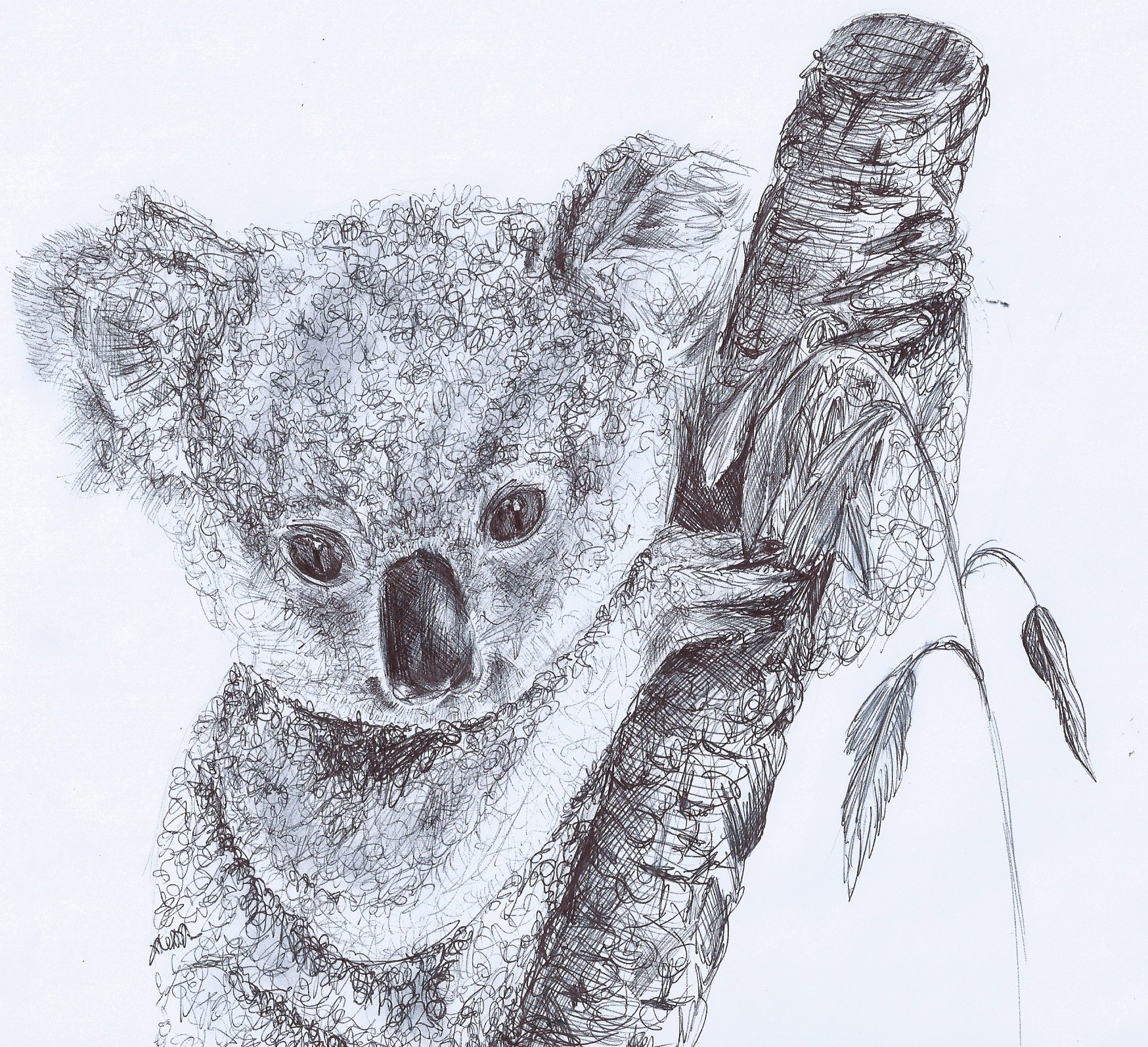 1748x1594 Easy Animal Sketches Images Pictures - Easy Animal Sketches