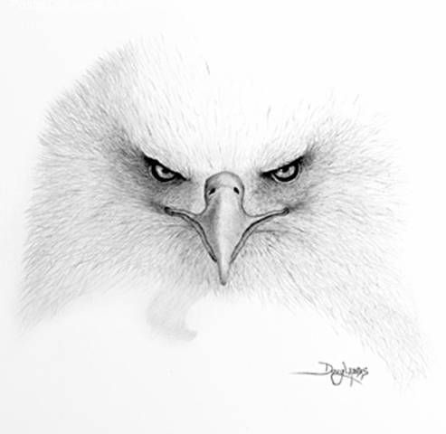 493x480 Pictures Simple Animal Drawings In Pencil, - Easy Animal Sketches