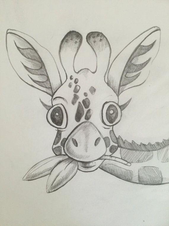 570x760 Baby Giraffe Sketch Print, Giraffe Pencil Sketch Illustration - Easy Animal Sketches