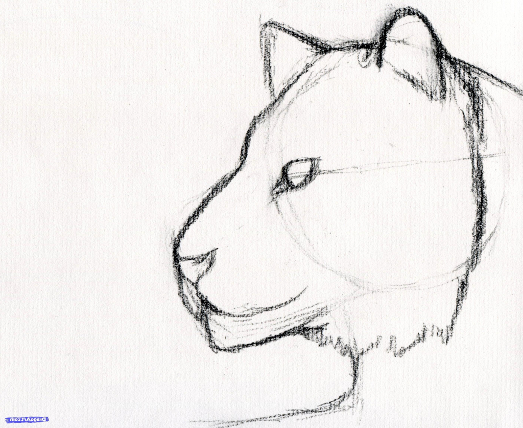 1024x837 Easy Art Sketches For Beginners Easy Art Sketches For Beginners - Easy Art Sketches