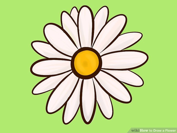 728x546 9 Easy Ways To Draw A Flower - Easy Flower Sketches