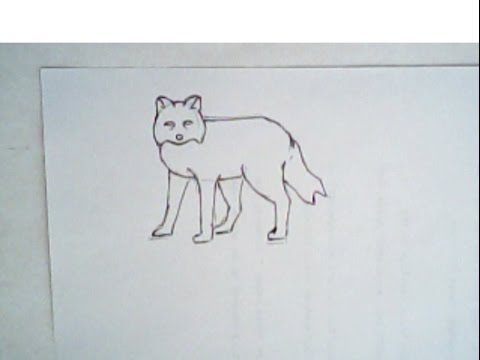 480x360 How To Draw A Fox (Simple Drawing, Easy Drawing) - Easy Fox Sketch