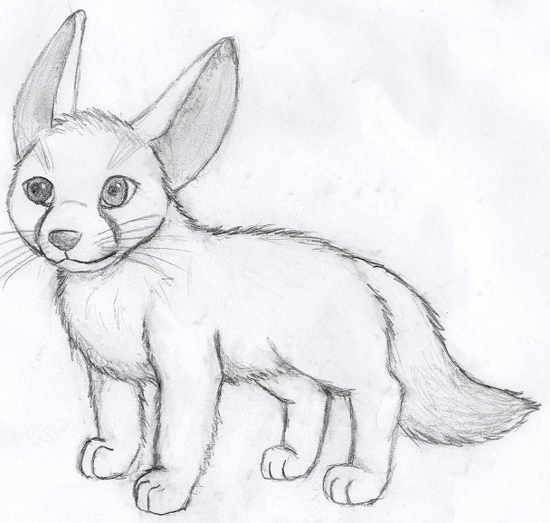 Easy Fox Sketch at Explore collection of Easy Fox