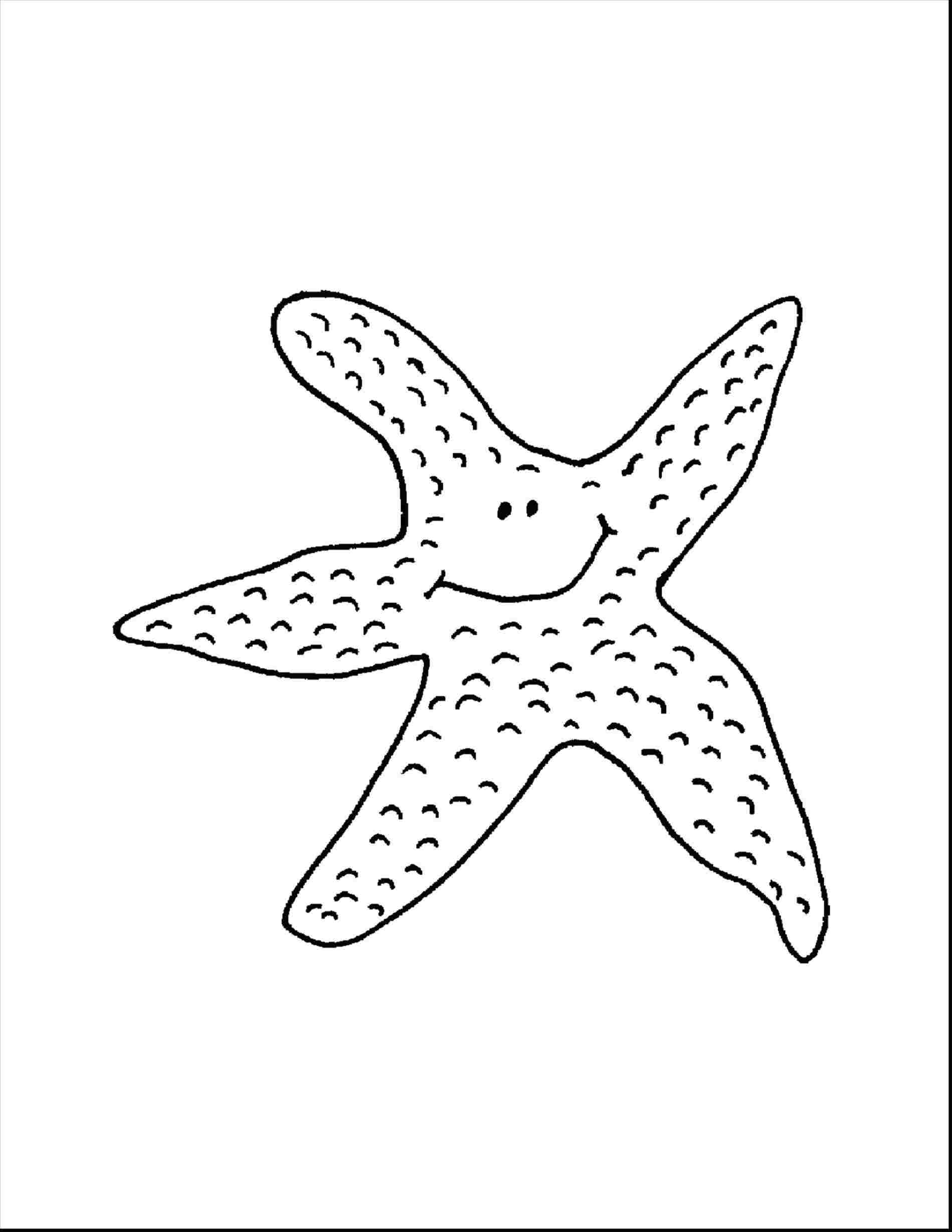 1899x2458 Starfish Easy Drawing Spladdle - Easy Hand Sketch